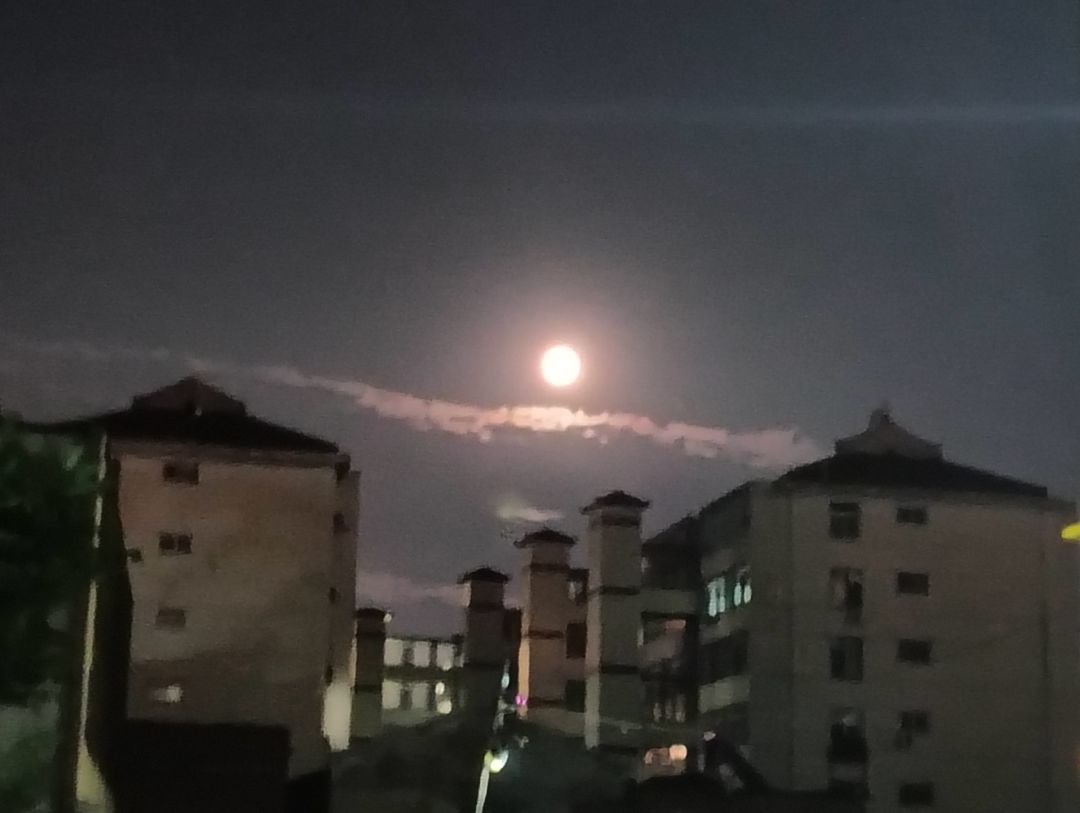 随缘风景 3