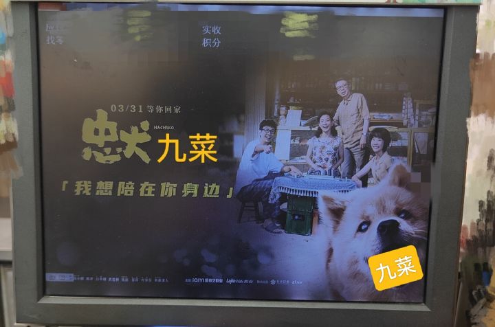 忠犬九菜截图