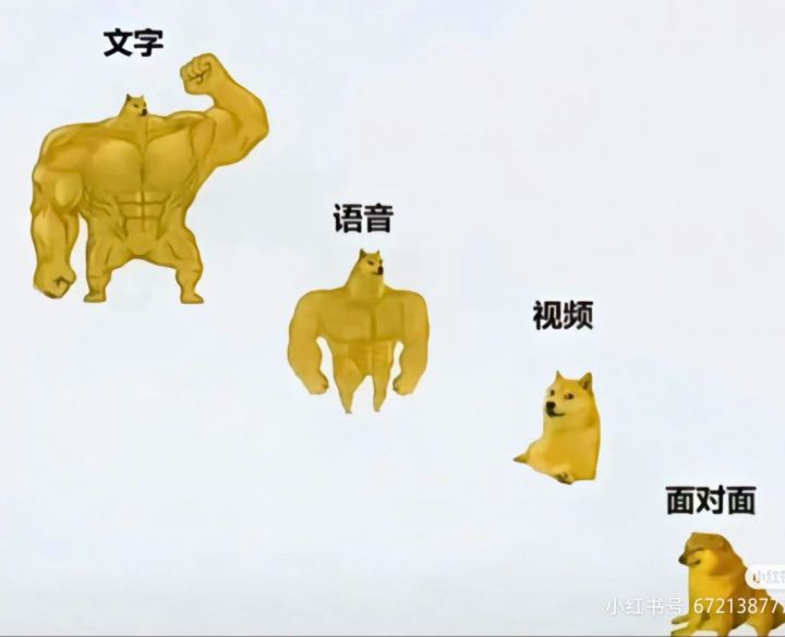 戏剧新皮肤的策划是不是看三九小说入迷了截图