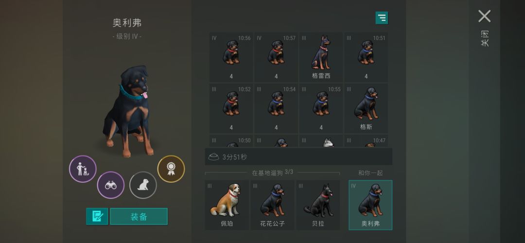 玩了这么多年劳资总于出朋友狗了 1