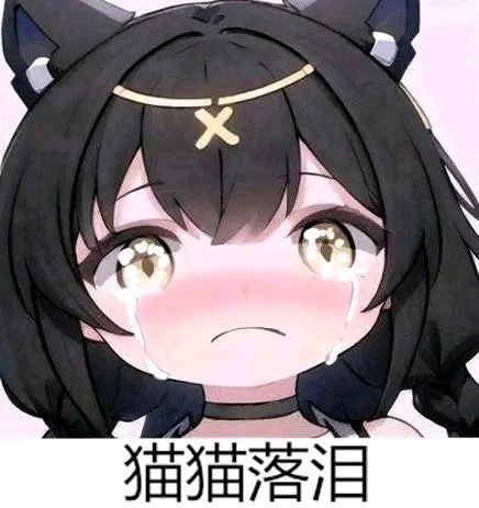 来点猫汐儿表情包 7