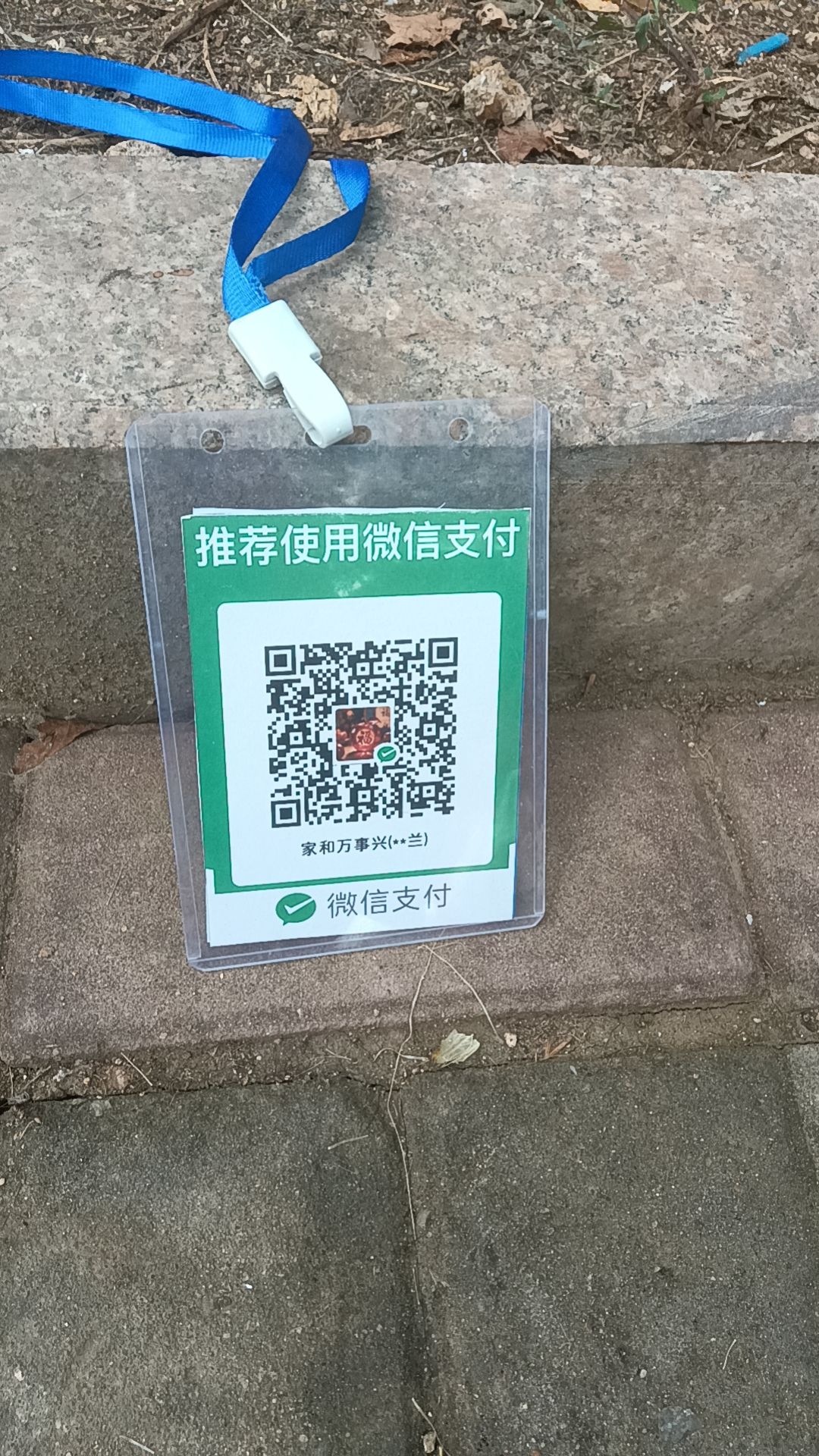 动态图片 16