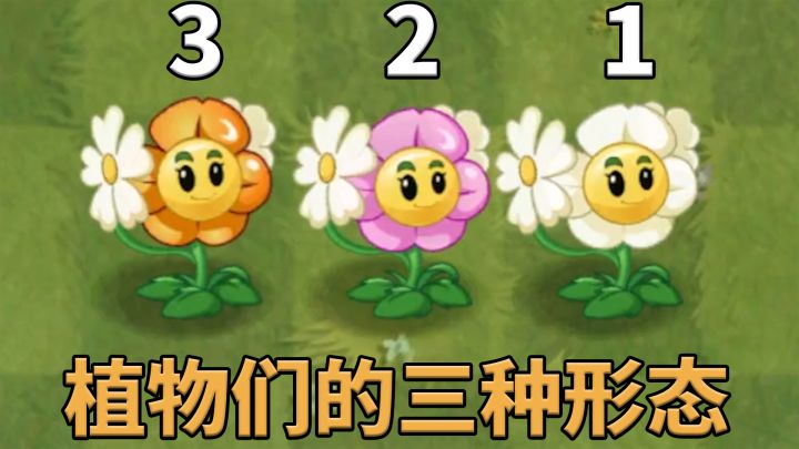 植物大战僵尸2:盘点游戏中的成长类植物!截图