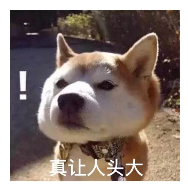 有没有Ss5火焰射手的大佬指点一下发展攻略截图
