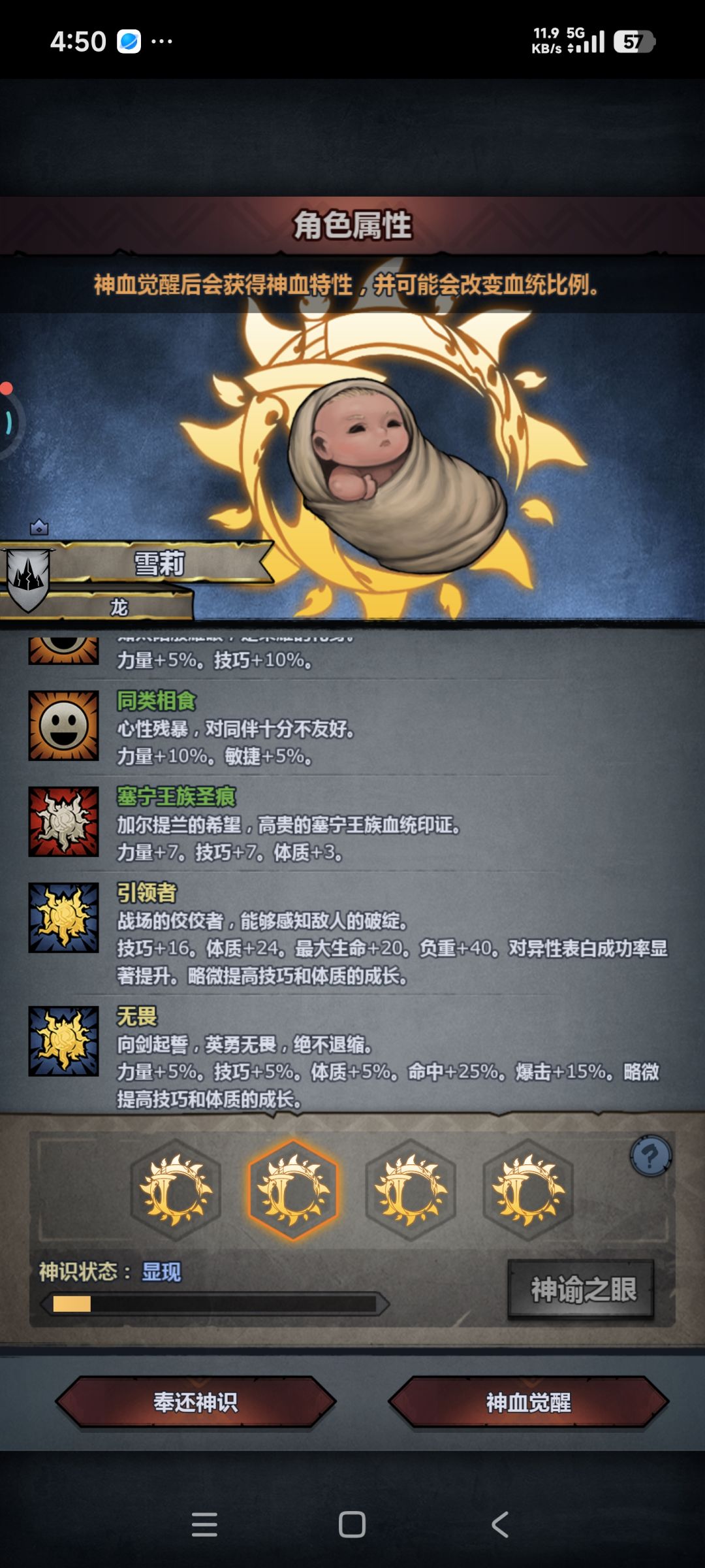 赛宁神子 5