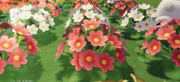 什么是花程式，什么是花图式？