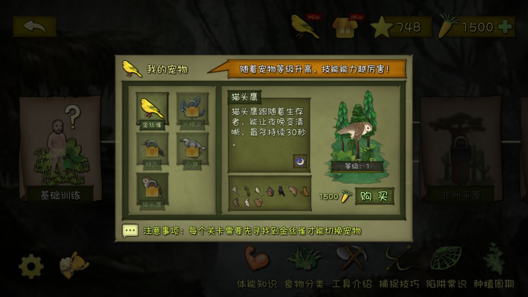 肝到猫头鹰了 1