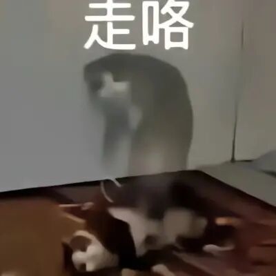 【逆水寒公测攻略】盘点10个逆水寒中的探索小技巧截图