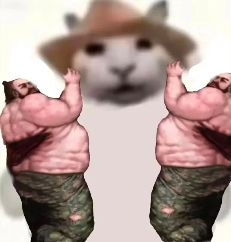 有没有一起玩双影奇境的 1