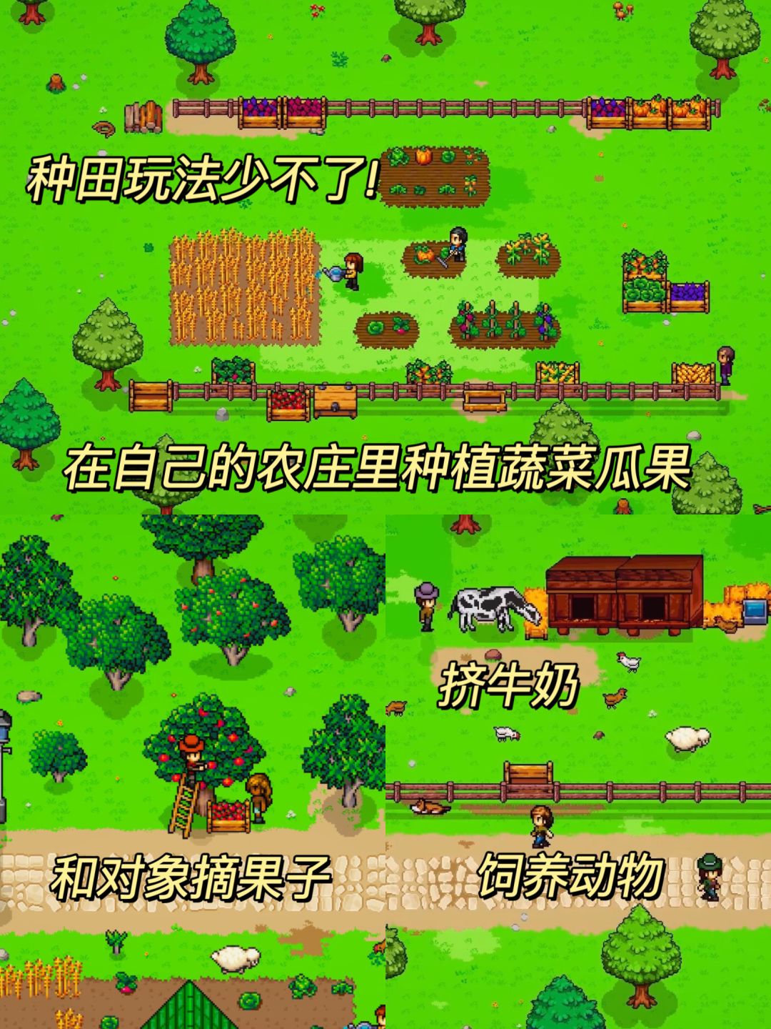 期待值拉满❗️2024像素模拟人生新游 8