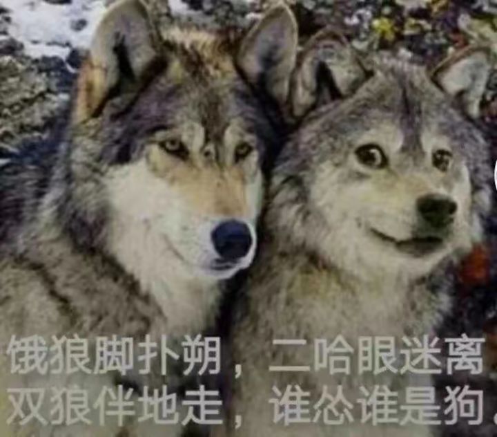 分享截图