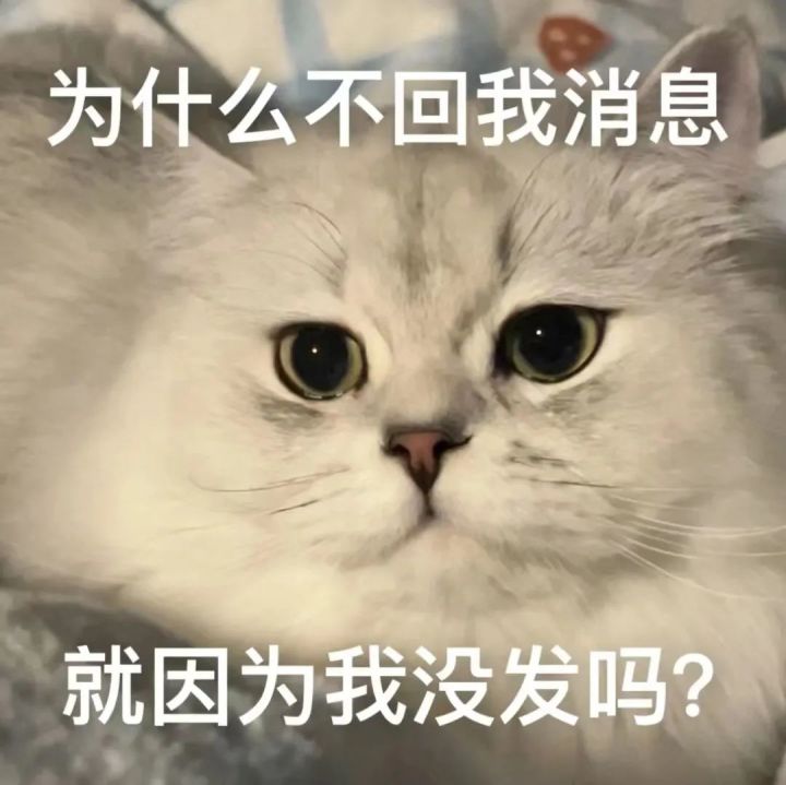 宝藏游戏又又又送皮肤啦截图