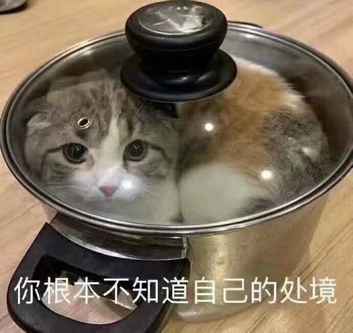 动态图片 4