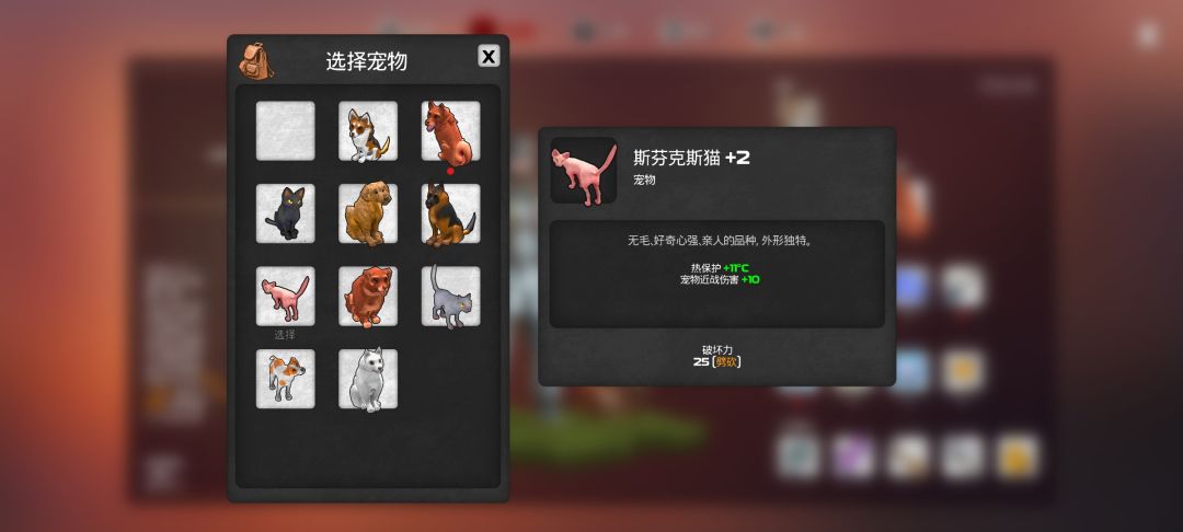 宠物=额外装备 3
