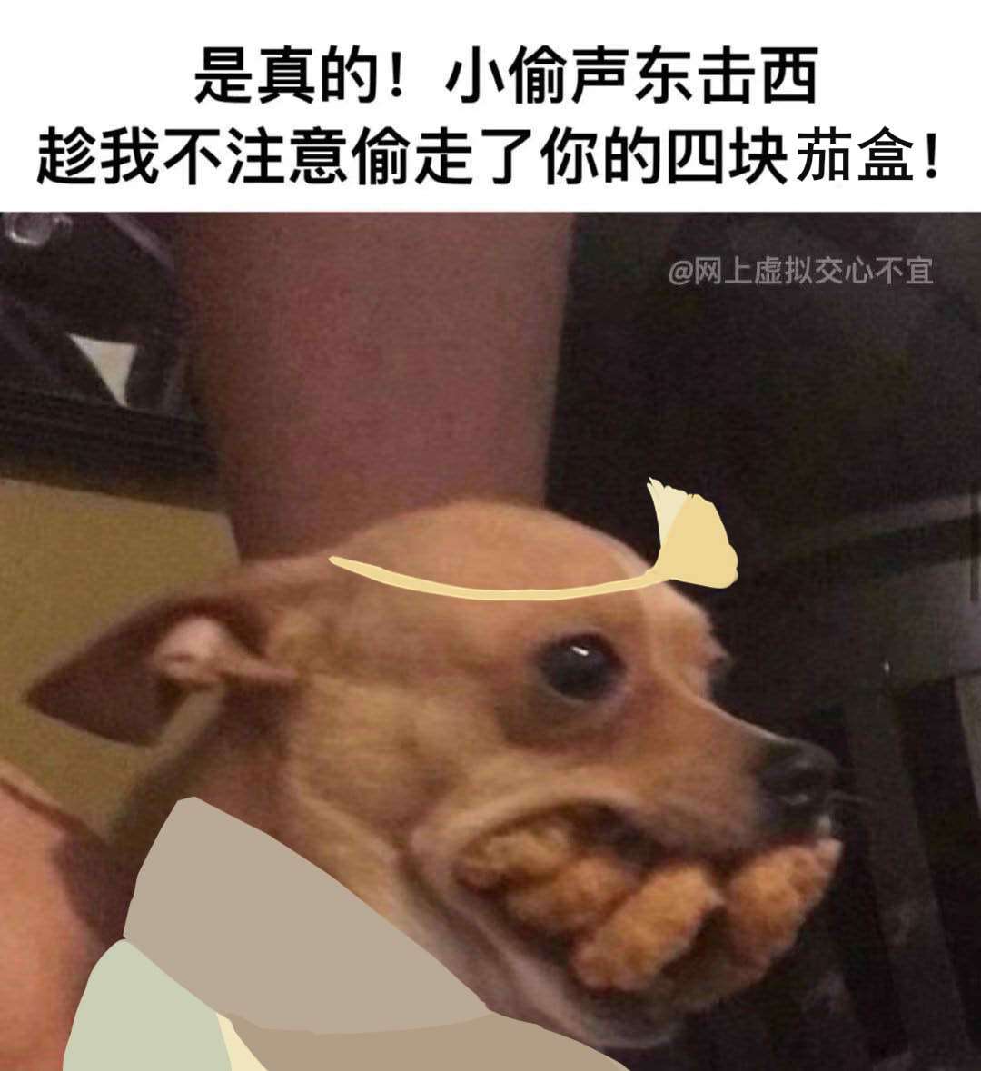 动态图片 1