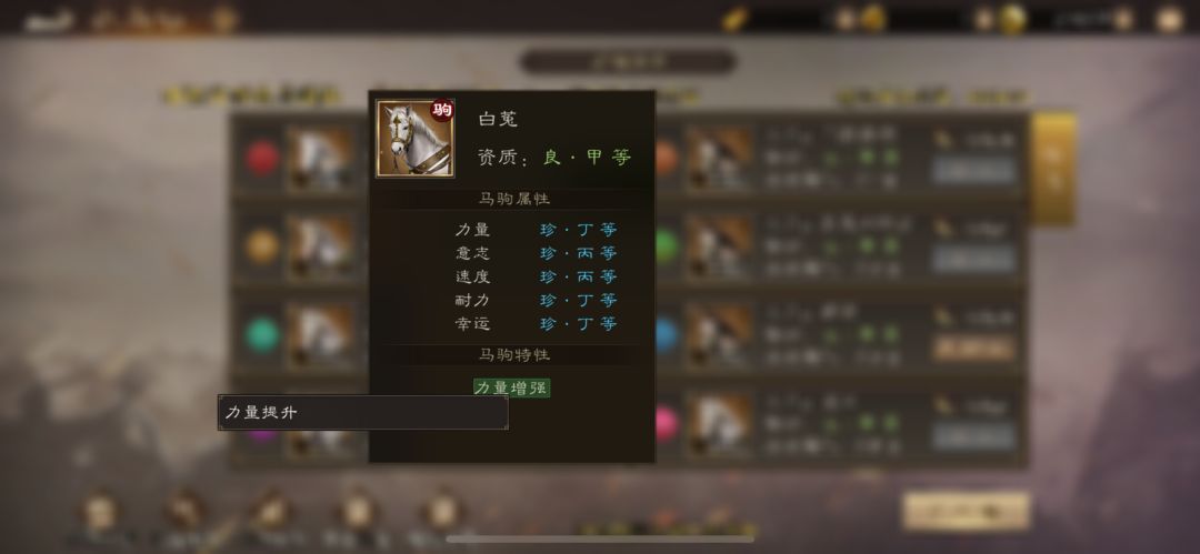 第一周赛马比赛场地出炉,该压谁! 3