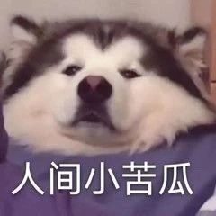 PC版 2