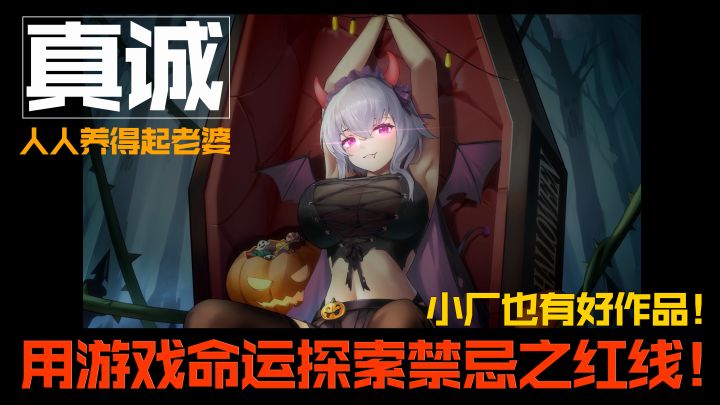 来自老二次元的评价:这款游戏很真诚!以游戏命运探索禁忌之红线!截图