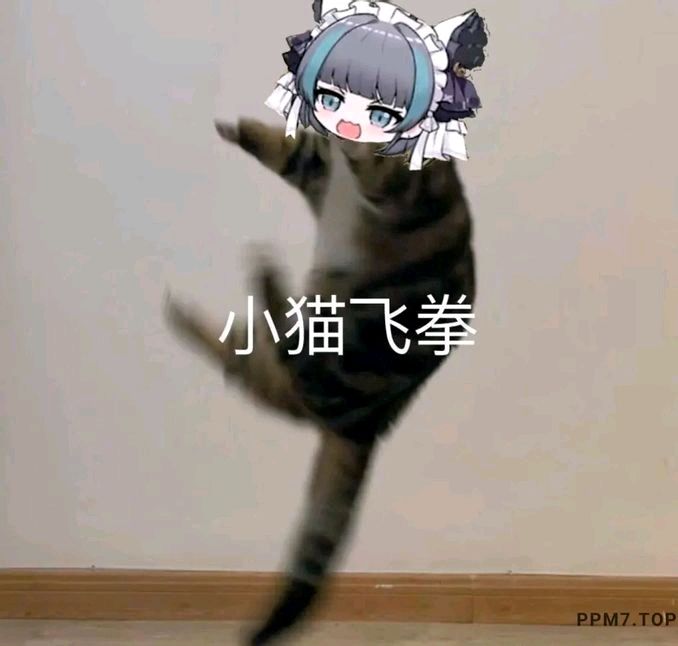 柴郡猫猫 6