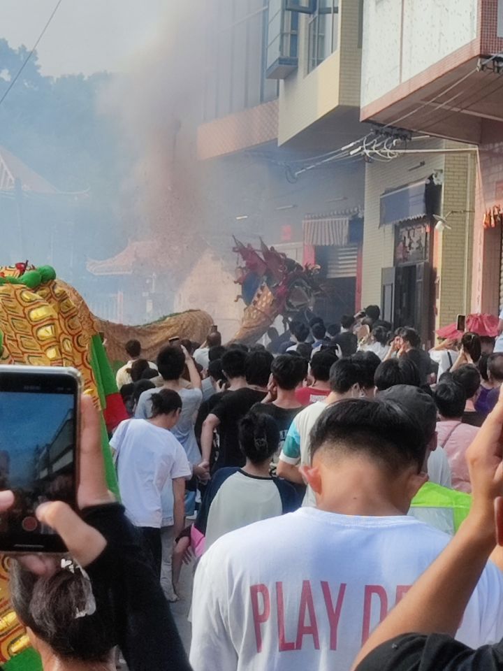国庆看舞龙截图