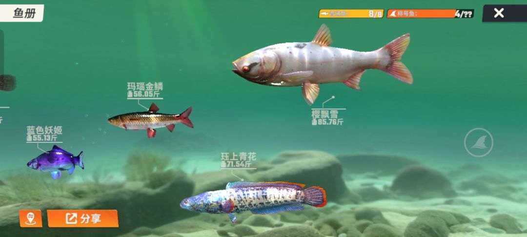 第二个号运气更好点哦 3