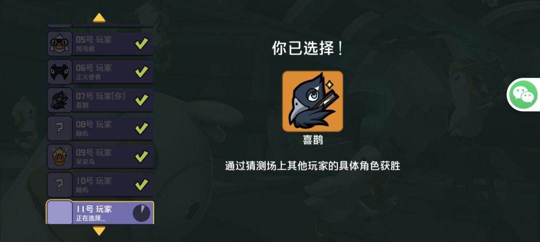 喜鹊真的很好玩啊! 2