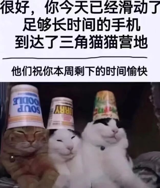 今日份梗图 1