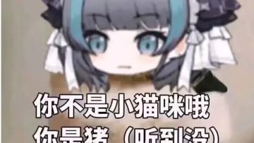 论各角色无效或低效观赏性潜能