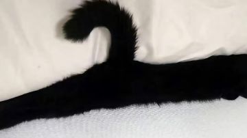 矿区牧师全自动连点分享