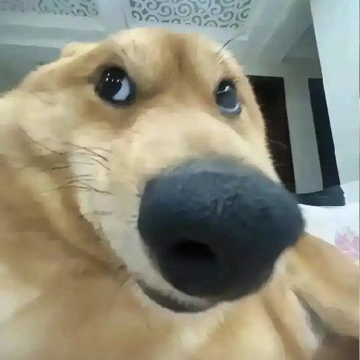 洪荒档软饭流攻略：开局就吞登仙截图