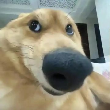 洪荒档软饭流攻略：开局就吞登仙