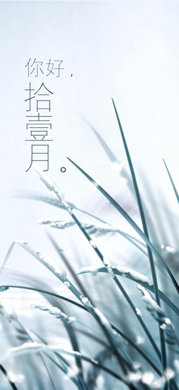 11月已到来,感冒高峰期多注意防备截图