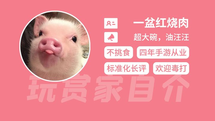 [玩赏家]一盆扎实管饱不骗人的红烧肉截图