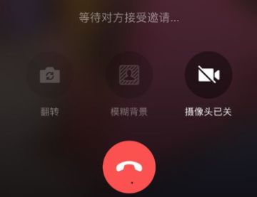 急！在线连接请求，黑骑宠物独家密报！！