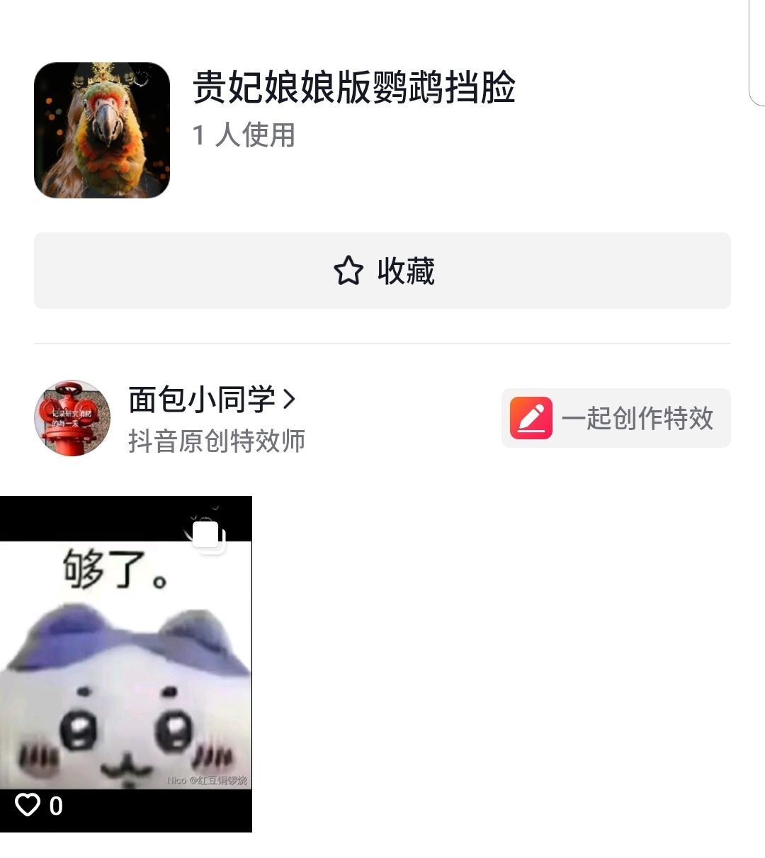 为了纪念这只鹦鹉 2