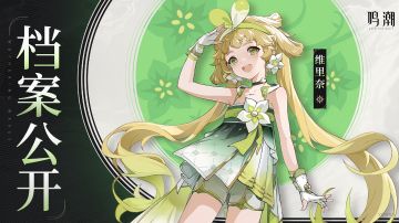 【鸣潮】当前版本部分辅助/副c培养推荐