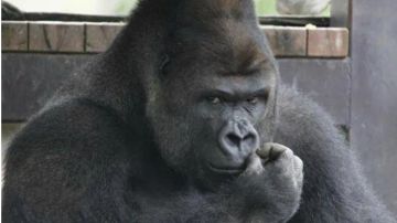 刷基础资源的备注（公测后希望你们看到）