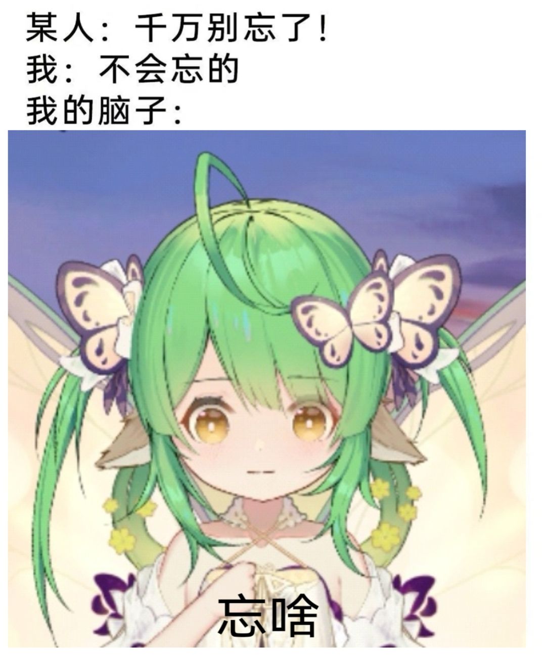 潮汐么么第499期 1