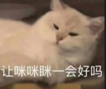 新游戏，准备开启休闲类游戏入口，有兴趣的快来尝试把