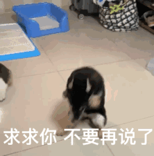 语音有毒 1