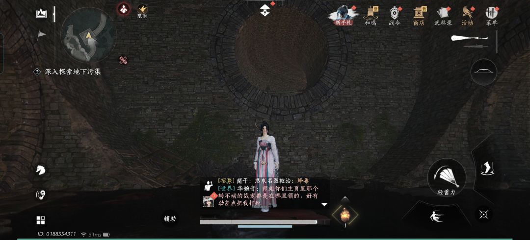 这个洞怎么上去用不了轻功 1