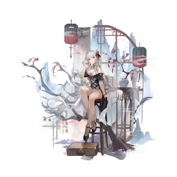 换装展示-寒梅写意