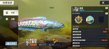 看帅不晚上刚刚玩，一个小时才上来