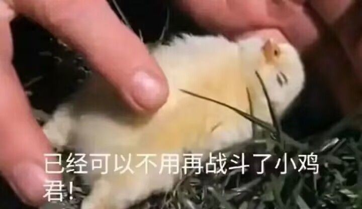 混沌回忆是不是没有两个奶玩都不用玩了？截图