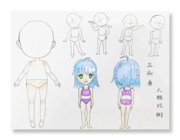 关于角色比例问题的修改反馈