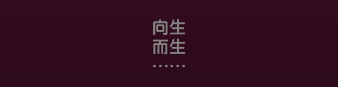 动态图片 4