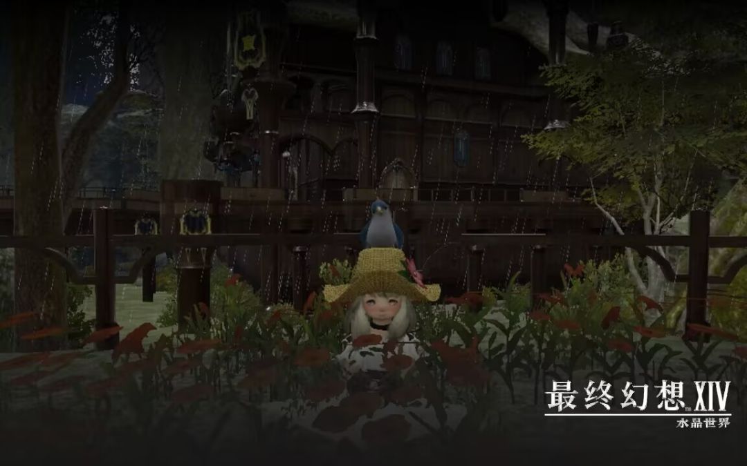 找豆芽截图