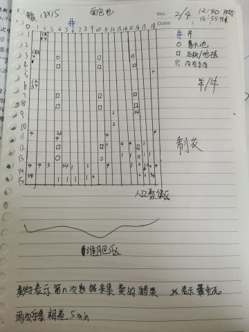 小小雾的神秘研究（还没想好研究啥…）