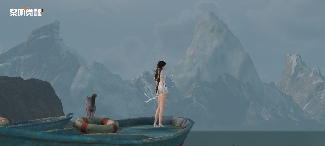 缺猫，极度缺猫 2