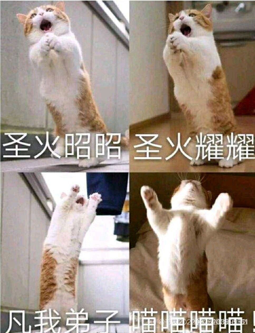 想玩 1
